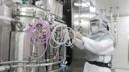 深度揭秘 網絡技術服務如何賦能60天建成全球最大新冠滅活疫苗生產車間